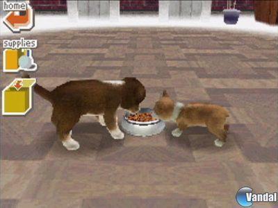 roms de nintendo ds links actualizados descarga sin esperas roms de nintendo ds links actualizados descarga sin esperas