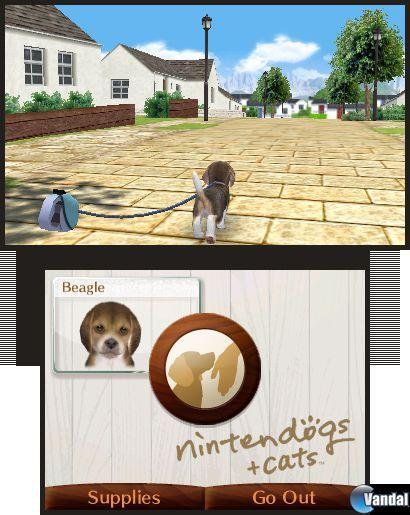 Nintendogs + Cats