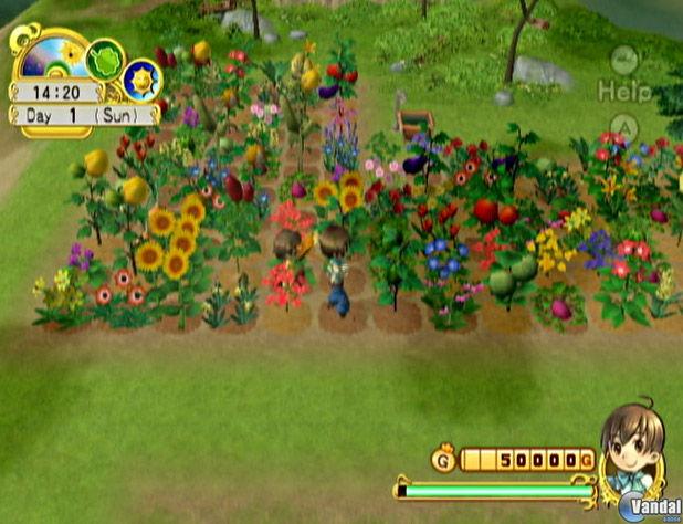 Harvest Moon: El �rbol de la tranquilidad