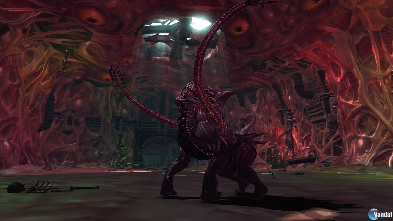 Nuevas im�genes de RaiderZ