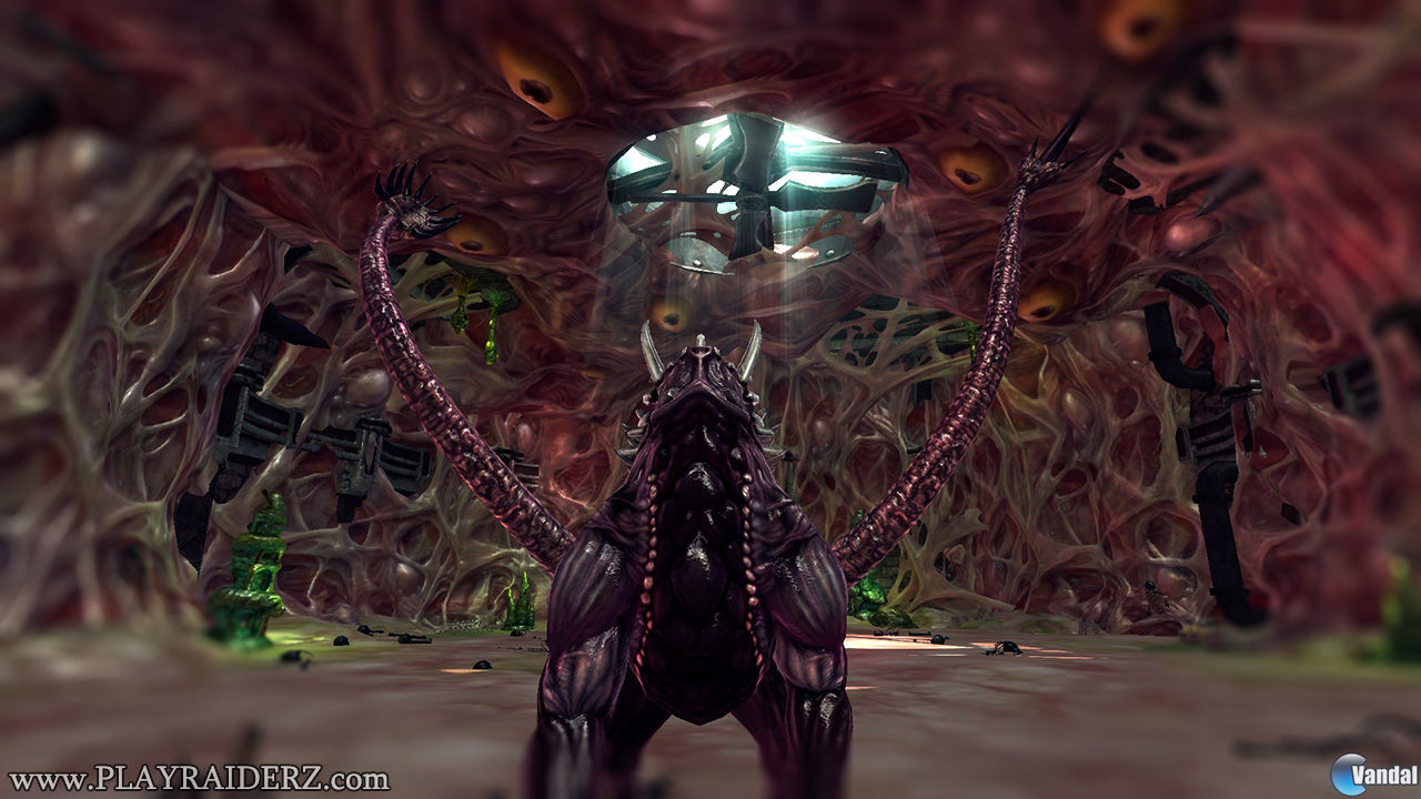 Nuevas im�genes de RaiderZ
