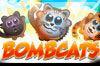 Bombcats