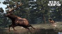 Descubre las misiones de cacer�a en Red Dead Redemption