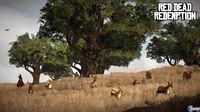 Descubre las misiones de cacer�a en Red Dead Redemption