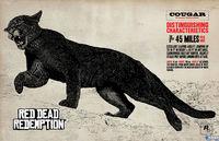 Descubre las misiones de cacer�a en Red Dead Redemption