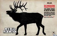 Descubre las misiones de cacer�a en Red Dead Redemption