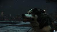 Descubre las posibilidades de combate de Dead to Rights: Retribution