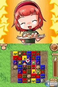 Imagen 10 de Harvest Moon: Frantic Farming para Nintendo DS
