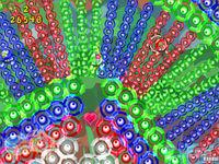 ColorZ WiiW