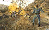 Primeras im�genes de Fallout: New Vegas