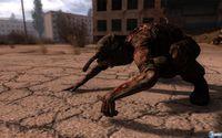 Imagen 7 de S.T.A.L.K.E.R.: Call of Pripyat para Ordenador