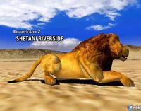 Imagen 41 de Jambo! Safari para Nintendo DS