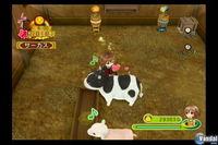 E3: Los nuevos Harvest Moon en im�genes