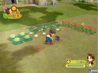 Imagen 102 de Harvest Moon: Desfile de Animales para Wii