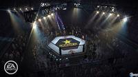 Imagen 12 de EA Sports: MMA para Ordenador