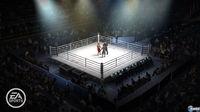 Imagen 11 de EA Sports: MMA para Ordenador