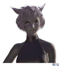 Square Enix detalla los clanes de Final Fantasy XIV