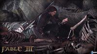 Imagen Fable III