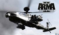 Imagen 1 de ARMA II Operation Arrowhead para Ordenador