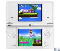 Imagen 1 de Castle of Magic DSiW para Nintendo DS
