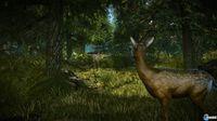 Pantalla The Witcher 2: Assassins of Kings Enhanced Edition