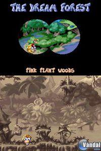 Rayman DSiW