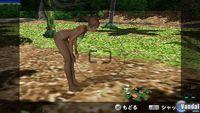 Nuevas im�genes de Dead or Alive: Paradise