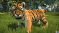 Imagen 9 de Kinectimals para Xbox 360