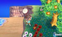 Imagen 54 de Animal Crossing 3DS para Nintendo 3DS
