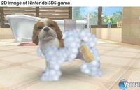 Imagen 22 de Nintendogs + Cats para Nintendo 3DS