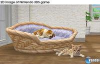 Imagen 24 de Nintendogs + Cats para Nintendo 3DS