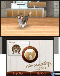 Imagen 26 de Nintendogs + Cats para Nintendo 3DS