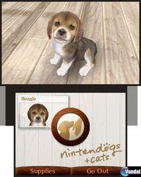 Imagen 28 de Nintendogs + Cats para Nintendo 3DS