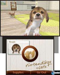Imagen 29 de Nintendogs + Cats para Nintendo 3DS