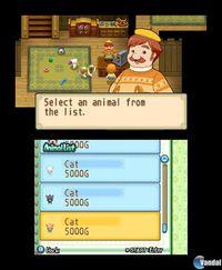 Imagen 38 de Harvest Moon: The Tale of Two Towns para Nintendo 3DS