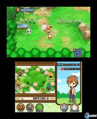 Imagen 39 de Harvest Moon: The Tale of Two Towns para Nintendo 3DS