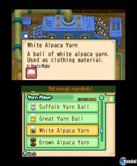 Imagen 42 de Harvest Moon: The Tale of Two Towns para Nintendo 3DS