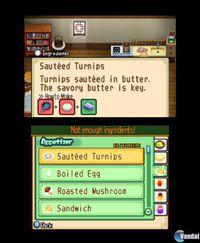 Imagen 43 de Harvest Moon: The Tale of Two Towns para Nintendo 3DS