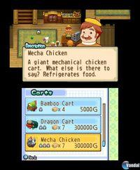 Harvest Moon: The Tale of Two Towns