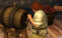 Imagen 5 de The Sims: Medieval para Ordenador