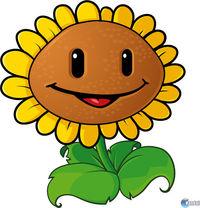 Imagen 20 de Plants vs. Zombies DSiW para Nintendo DS