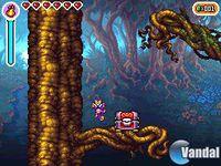 Imagen 6 de Shantae: Risky's Revenge DSiW para Nintendo DS