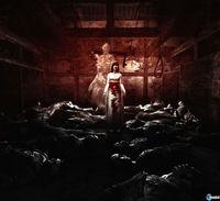 Imagen Project Zero 2: Wii Edition