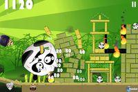 Pirates vs Ninjas vs Zombies vs Pandas