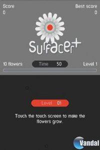 Imagen 2 de Surfacer + Destreza + T�ctica DSiW para Nintendo DS