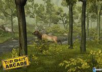 Imagen Top Shot Arcade