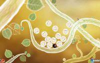 Pantalla Botanicula