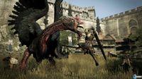 Imagen 432 de Dragon's Dogma para PlayStation 3