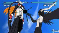 Bleach: Heat the Soul 7
