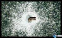 Imagen 45 de Reel Fishing Paradise 3D para Nintendo 3DS